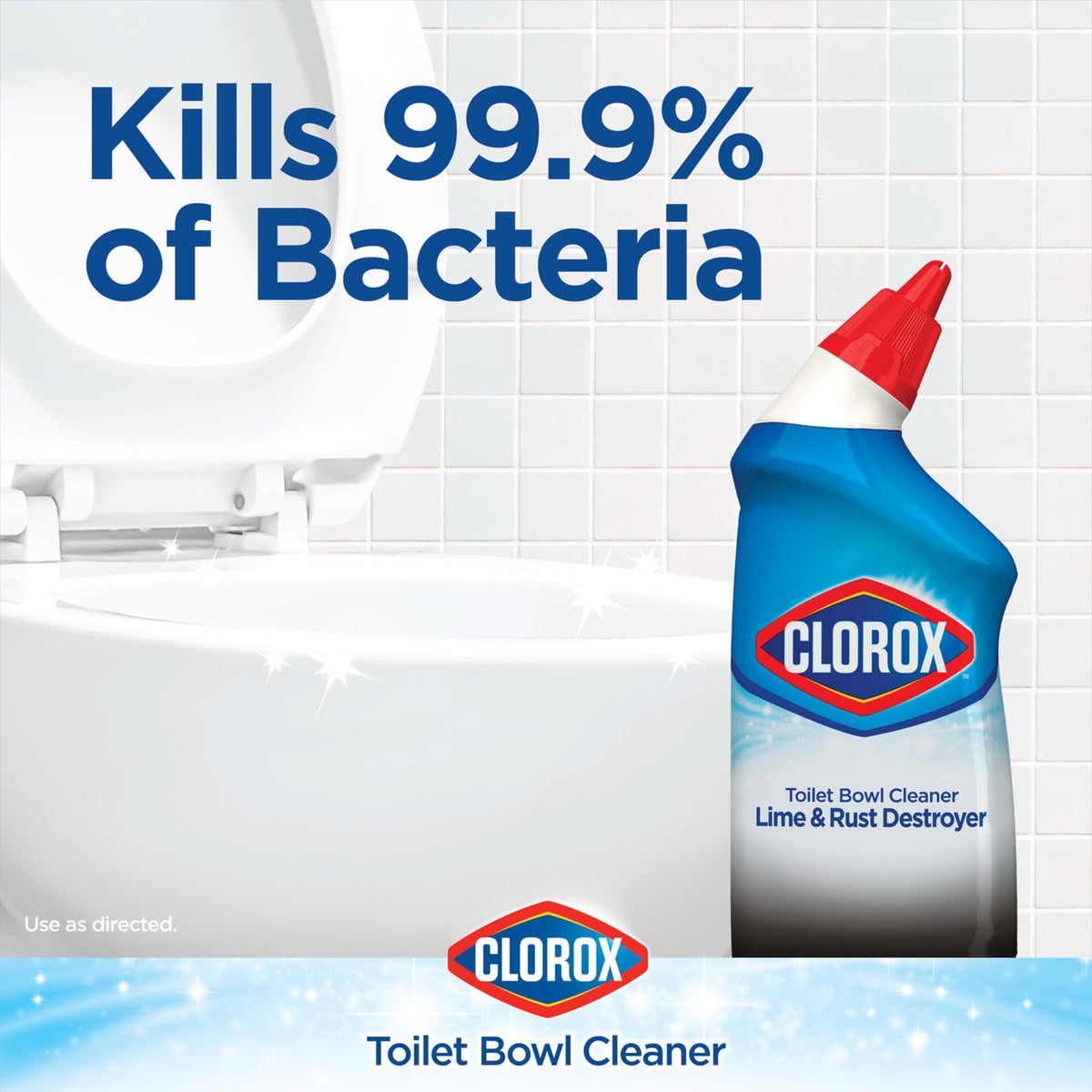 Clorox 2 / 24 Fl Oz (Pack of 2) Toilet Cleaners