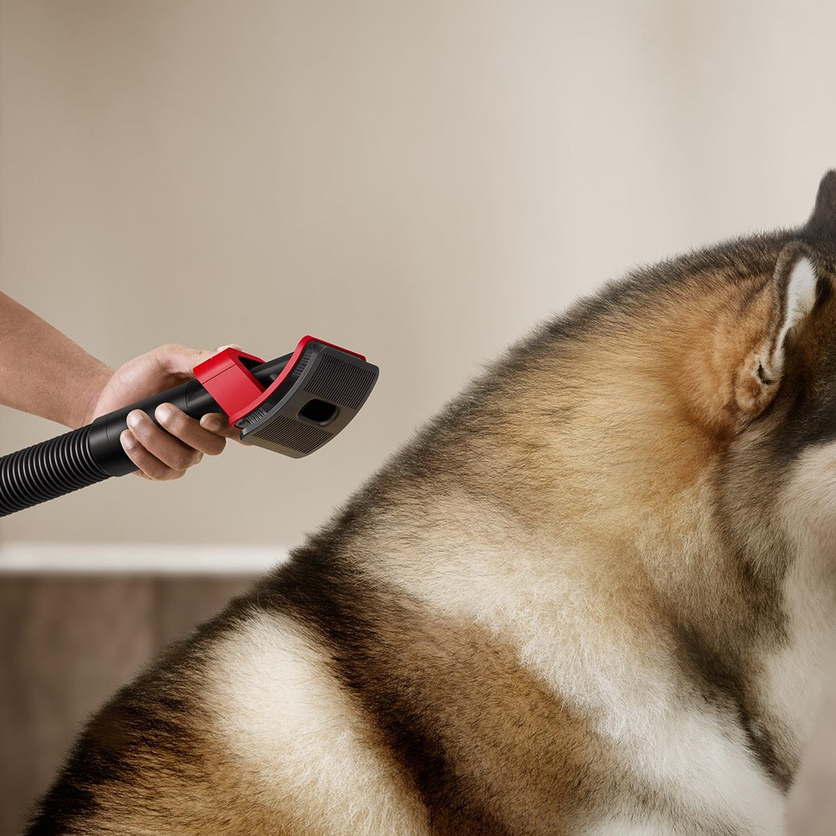 Pet Grooming kit for Your V16 Piston Animal Cordless Vacuum by Dyson – 0 gallons, Black, Model 974562-01