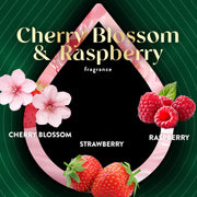 Scented Oil Vibrant Refill Cherry Blossom & Raspberry 5 ct. by Air Wick – 3.38 Fl Oz (Pack of 1), Pink, Model 6233801065