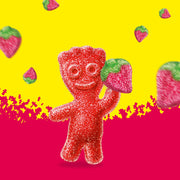 Sour Patch Kids Strawberry / 12 Ounce (Pack of 12) / Red Gummy Candy
