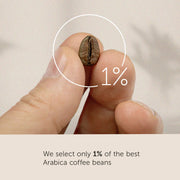 illy Etiopia Single Origin Medium Roast / 8.8 Ounce (Pack of 6) / Silver Roasted Coffee Beans