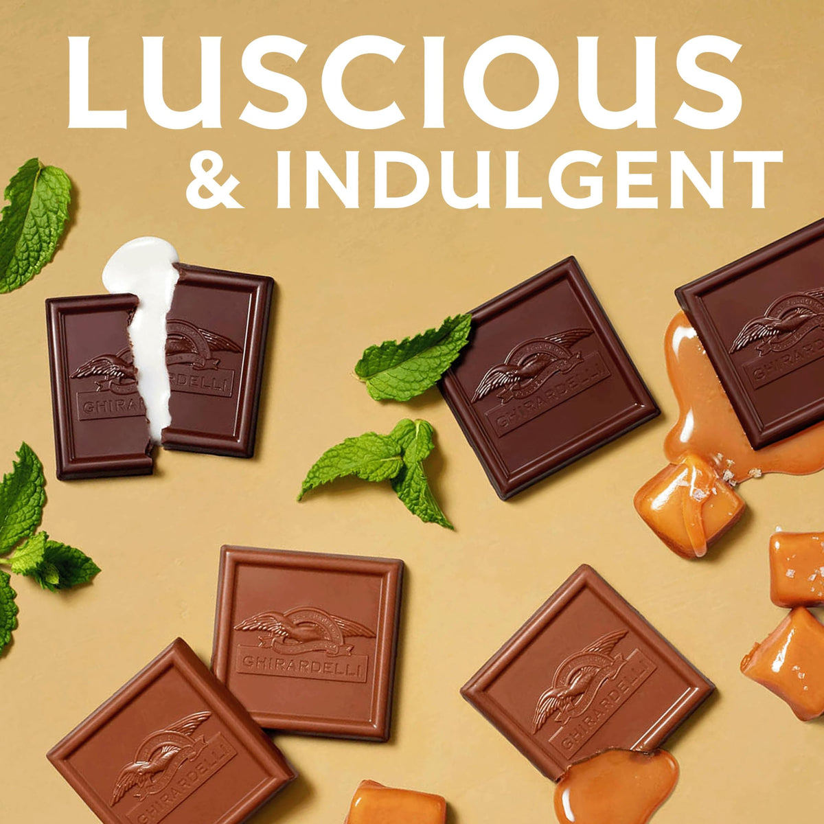 Assorted Squares Bag by Ghirardelli – 15.77 Ounce (Pack of 1), Multicolored, Model 62273_obb
