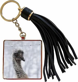 3dRose Photograph of an emu wondering what the heck all the white stuff is. Tassel Key Chain