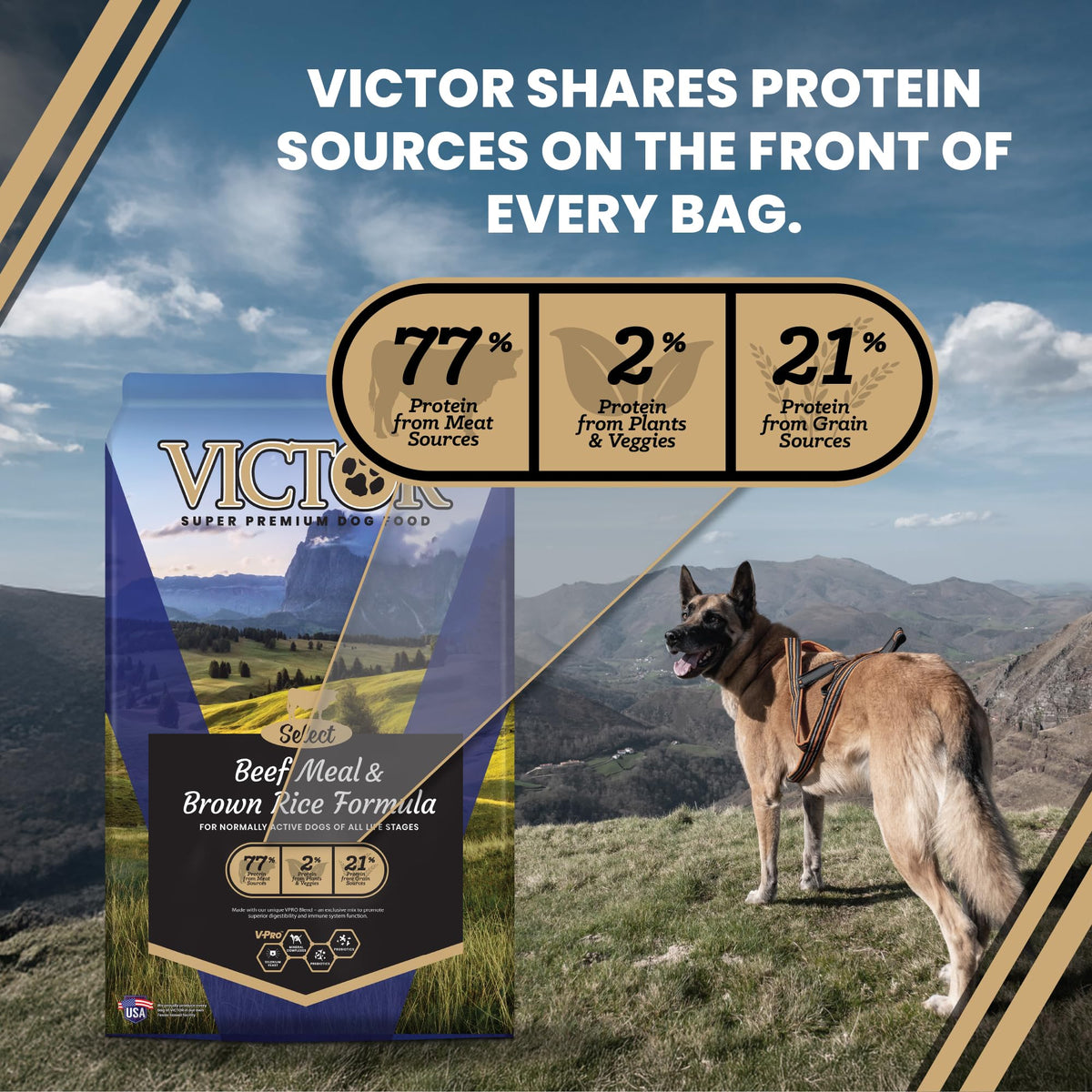 Select Gluten-Free Beef Meal & Brown Rice Dry Dog Food by VICTOR – 5 Pound (Pack of 1), Brown, Model 2336