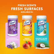 Disinfecting Wipes by Lysol – 80 Count (Pack of 1), White, Model 97181CT