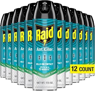 Raid Ant Killer Spray Kills on Contact Pine Forest Fresh Scent Defense System 17.5 Ounce (Pack of 12)
