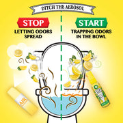 Air Wick 1.85 Fl Oz (Pack of 1) / Fruity Pin-up / Fruity Spray