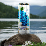 AriZona Blueberry White Tea / 22 Fl Oz (12 Pack) / 12 Iced Tea