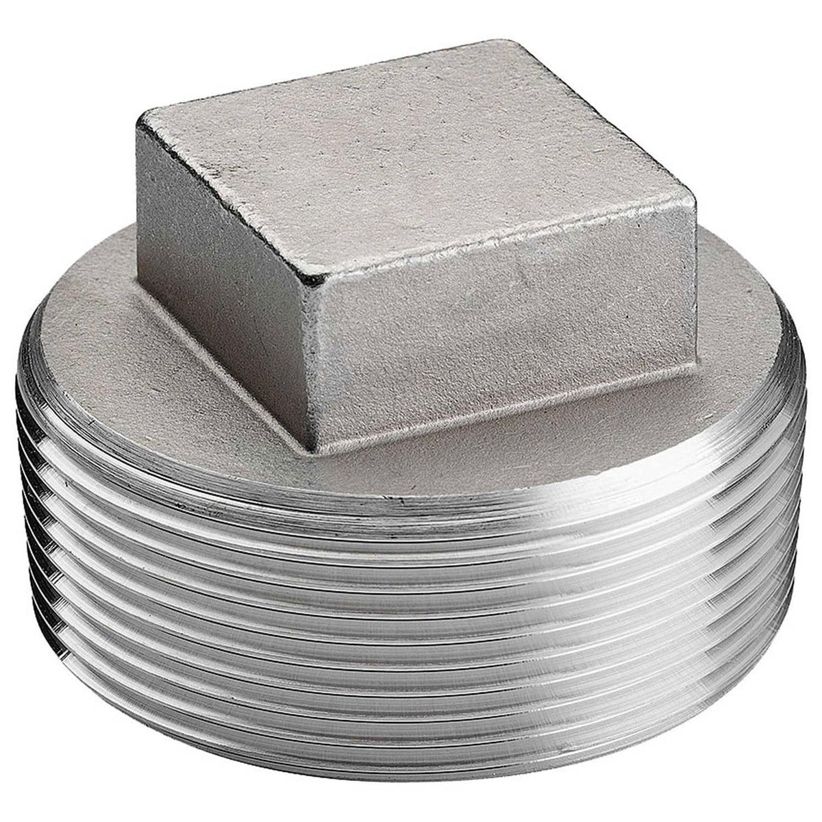 3/4" 304 Stainless Steel Plug by Merit Brass – Stainless Steel, Model K417-12