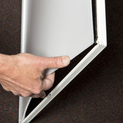 2ft x 4ft Clear Light Panels (Pack of 6) by Genesis – 24"W x 48"L (Pack of 1), Polycarbonate, Clear, Model 70800