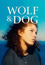 Wolf And Dog