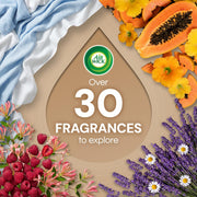 Plug In Refills with Essential Oils by Air Wick – 1 Count (Pack of 10), Transparent, Pack of 10, Model 6233801924