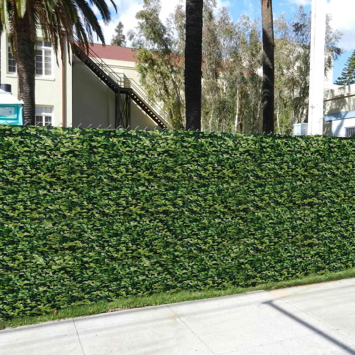 Ligustrum Ficus Double-Sided Scenic Fence Screen (6ft x 50ft) by FenceScreen – 6ft x 50ft, Vinyl, Green, Model 210-5850-LFH