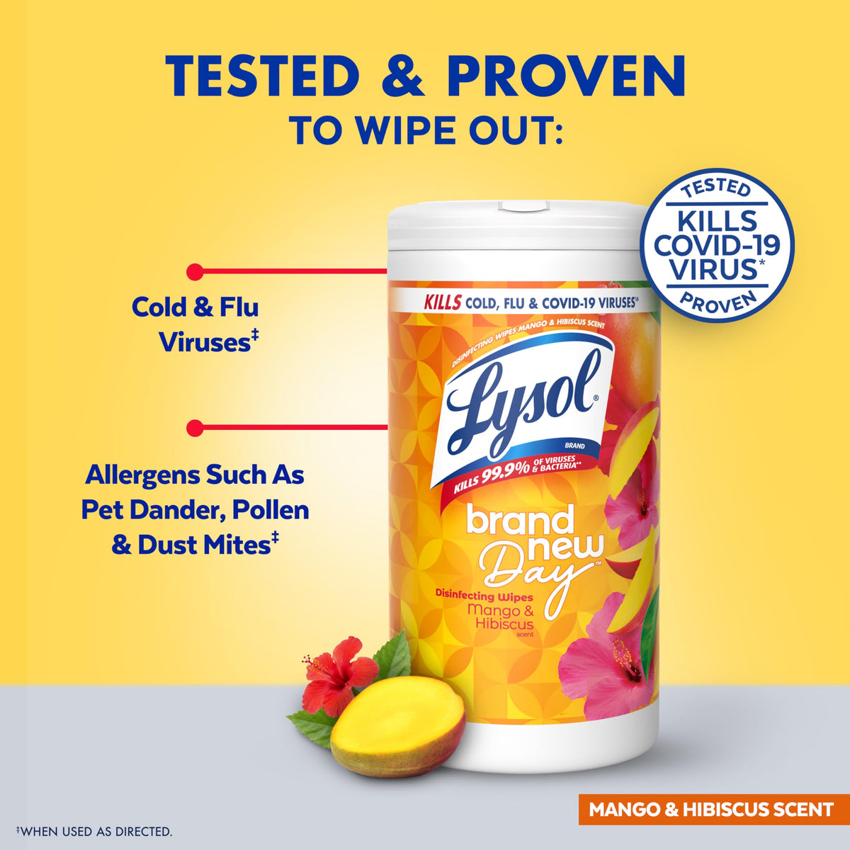 Disinfecting Wipes by Lysol – 80 Count (Pack of 1), White, Model 97181CT