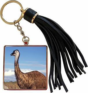 3dRose Australia, Emu, flightless bird-AU02 SWE0005 - Stuart Westmorland Tassel Key Chain