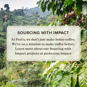Medium and Dark Roast Keurig K-Cup Pods Bundle - Café Domingo 54 Count and Major Dickason's Blend 75 Count by Peet's Coffee – 129 Count (Pack of 2), Model Dark Roast K-Cup Pods
