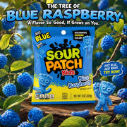 Blue Raspberry - 3.6 oz by Sour Patch Kids – 3.6 Ounce (Pack of 2), Blue, Pack of 2