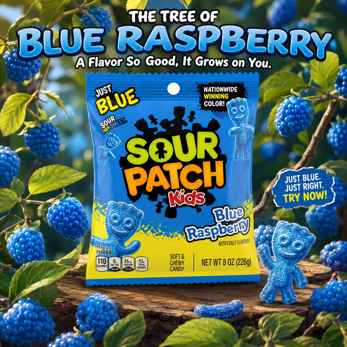 Blue Raspberry - 3.6 oz by Sour Patch Kids – 3.6 Ounce (Pack of 2), Blue, Pack of 2