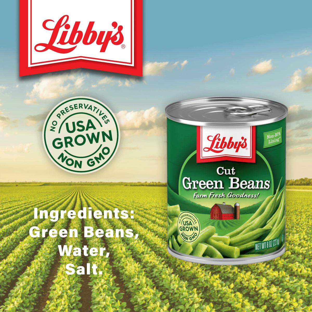 Cut Green Beans | Naturally Delicious by Libby's – 8 Ounce (Pack of 12), Pack of 12