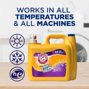 ARM & HAMMER Fresh Burst / 158.6 Fl Oz (Pack of 1) / 1 Liquid Detergent