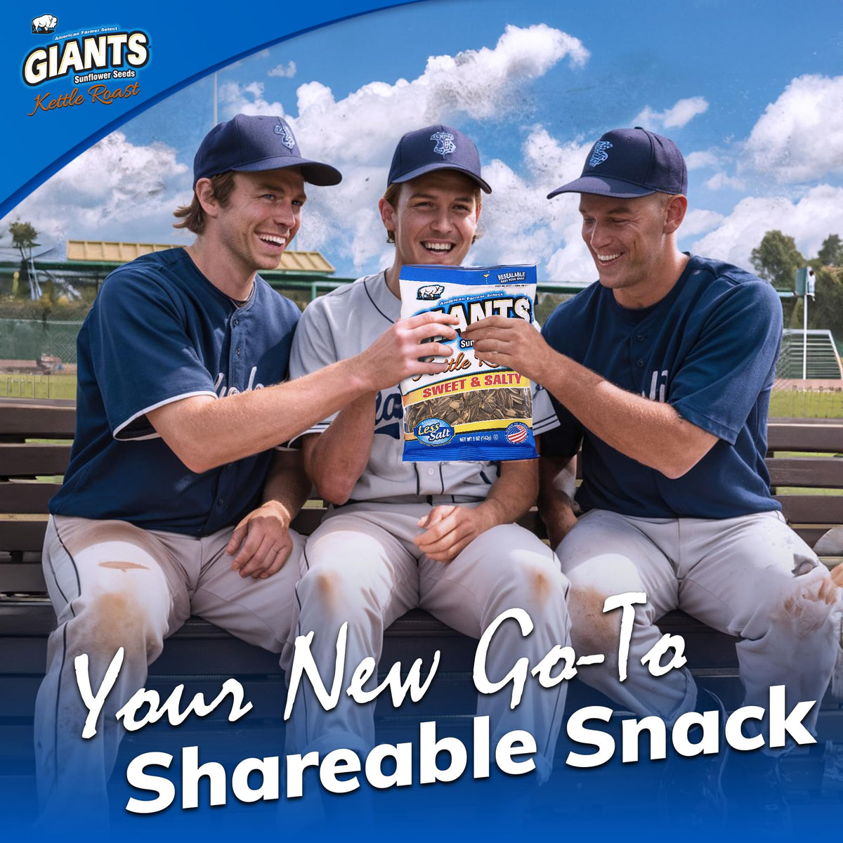 GIANTS Kettle Roast Sweet & Salty Sunflower Seeds - Sunflower Seeds Bulk by GIANTS SUNFLOWER SEEDS – 5 Ounce (Pack of 12), Pack of 12, Model 24555