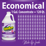 Disinfectant Concentrate and Odor Eliminator by OdoBan – 128 Fl Oz (Pack of 1), plastic, Clear, Model 911162-G4 /DM