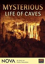 Mysterious Life of Caves - NOVA