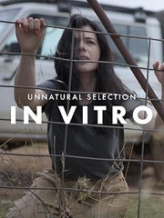 In Vitro