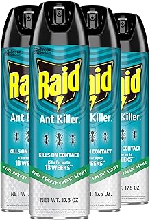 Raid Ant Killer Spray Kills on Contact Pine Forest Fresh Scent Defense System 17.5 Ounce (Pack of 4)