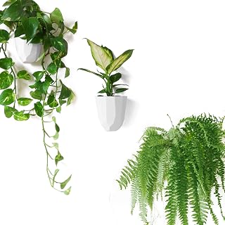Make Good Virgo Wall Planters (Geometric, Set of 3) - Easy to Install and Water - Lightweight - Design Your Own Vertical Garden - Melamine Plastic