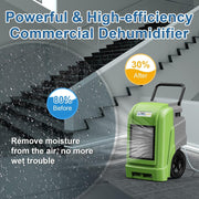 ALORAIR Red Extra Large / Storm DP / 190.0 pints Dehumidifiers