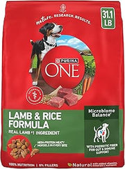 Purina ONE Lamb and Rice Dry Dog Food, 31.1 lb Bag