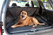 Coleman Pet Cargo Liner, Carpet Protector Mat, Trunk Cover and Dog Seat for Cars, Universal Fit