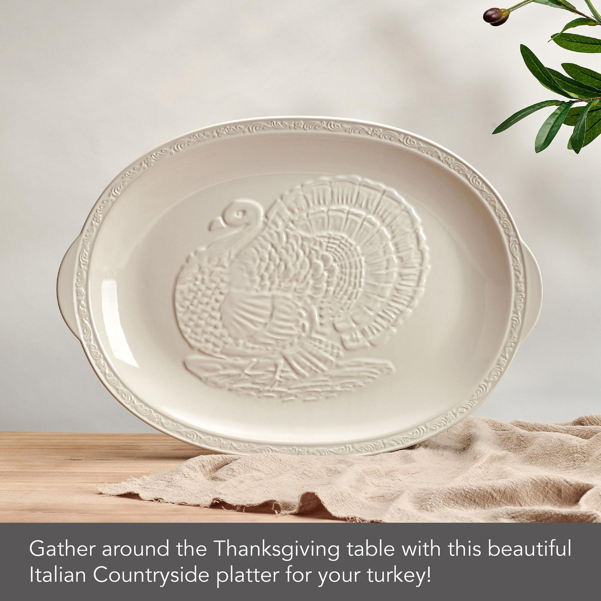 Mikasa Italian Countryside Stoneware Turkey Platter, 18 Inch, Cream