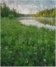Cozy Crushed Velvet Blanket - Lakeside Meadow Glowing Green with Scattered Wildflowers, 50 * 60in