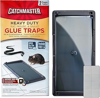 Catchmaster Rat & Mouse Glue Traps with Sticky Putty 2Pk, Large Bulk Glue Board, Rat & Mouse Traps Indoor for Home, Adhesive Plastic Tray for Snakes, Mice & Spiders, Pest Control for House & Garage
