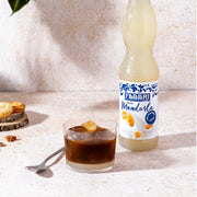 Latte di Mandorla / Mandelmilch Sirup by Fabbri – 560ml, Model 8001780150031