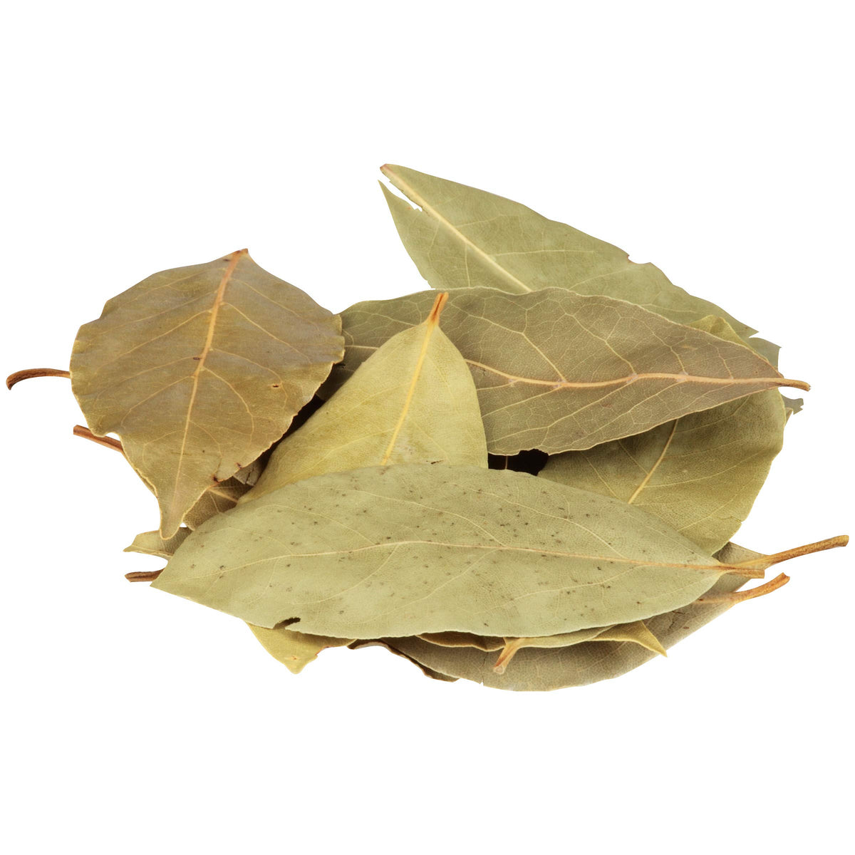 Whole Bay Leaves by McCormick Culinary – 2 Ounce (Pack of 1), Model 052100010496