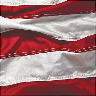 Creative Converting 16 Count Paper Beverage Napkins, Patriotic Symbol