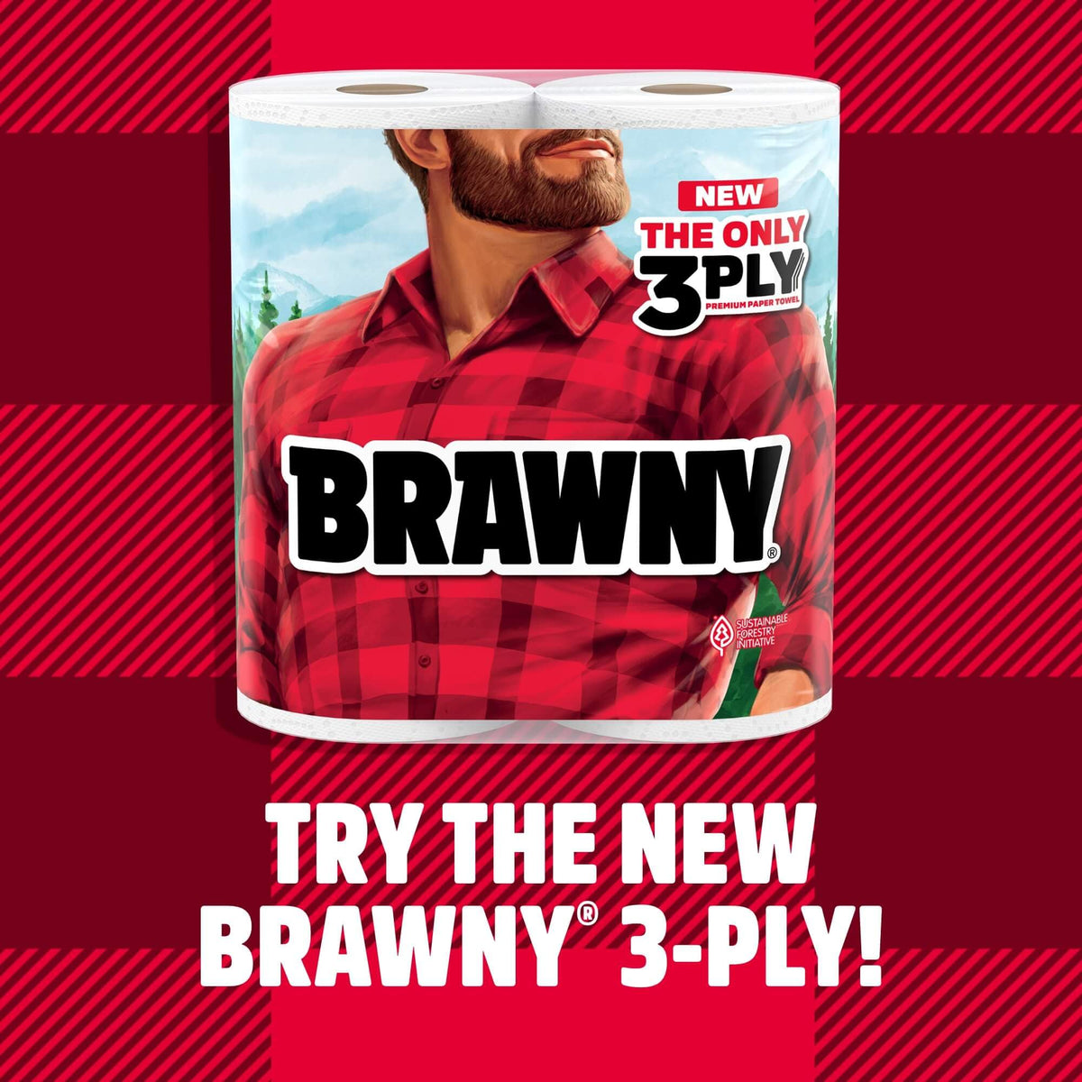 Brawny 1 / 6 Rolls (100 Sheets each) / White Paper Towels