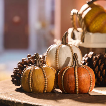 Valery Madelyn Resin Pumpkin Set, 3.5 Inch, White Brown