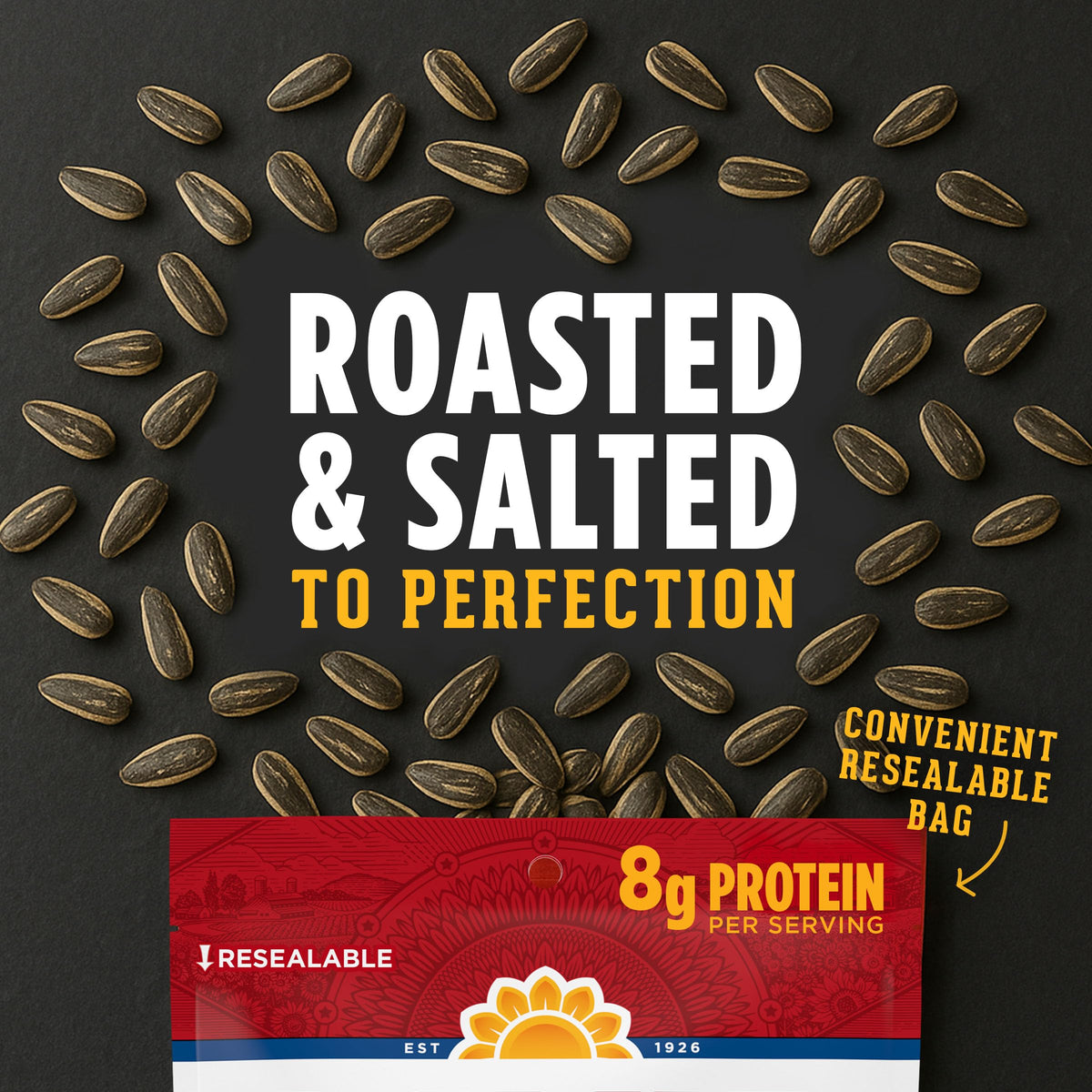 David Sour / 5.25 Ounce (Pack of 1) / 1 Sunflower Seeds
