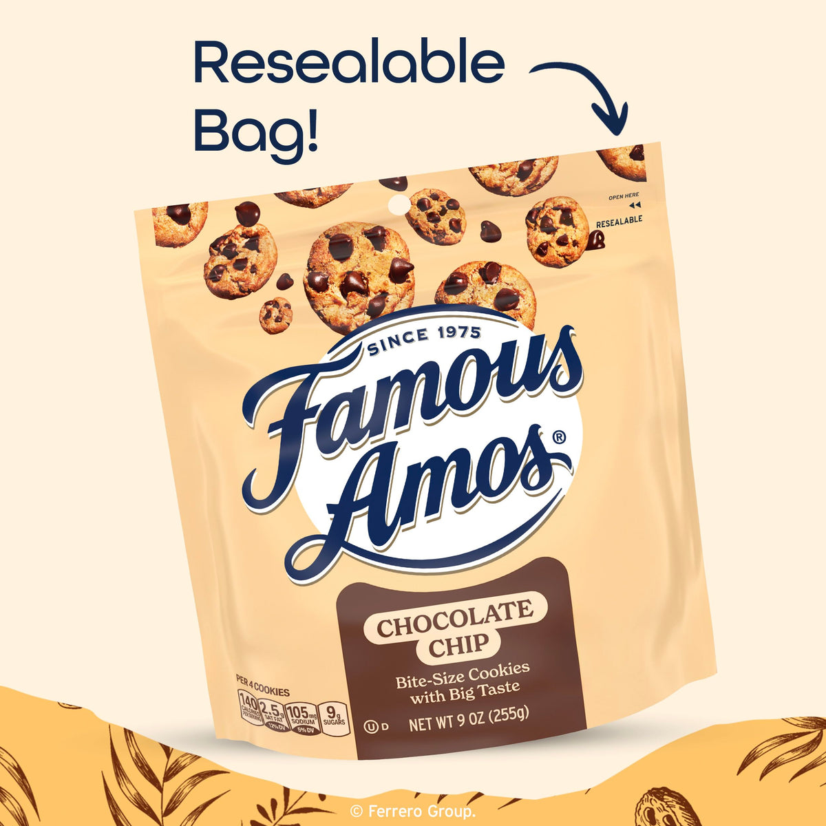 Chocolate Chip Cookies by Famous Amos – 9 Ounce (Pack of 1), Model 00076677057173