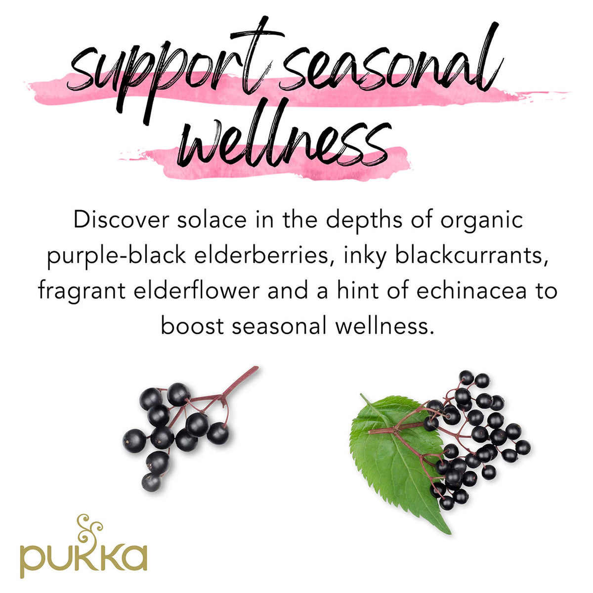 Pukka 20 Count (Pack of 2) / Elderberry & Echinacea / 1 Herbal