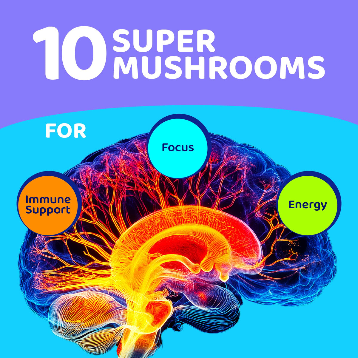 Mushroom Gummies, 10 Super Mushrooms for Immune Support, Focus & Energy - with Lions Mane, Reishi & Cordyceps, 60 Count - Vegan & Gluten Free by Gusevit – Model RQ-XUXJ-UROQ
