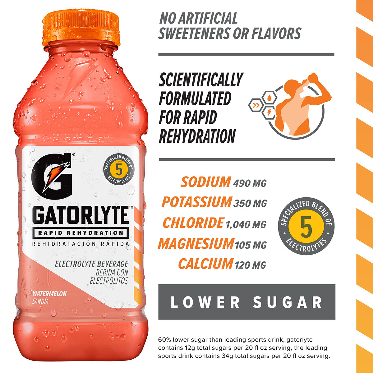 Gatorade Strawberry Kiwi / 20 Fl Oz (Pack of 1) / kiwi Sports Drinks