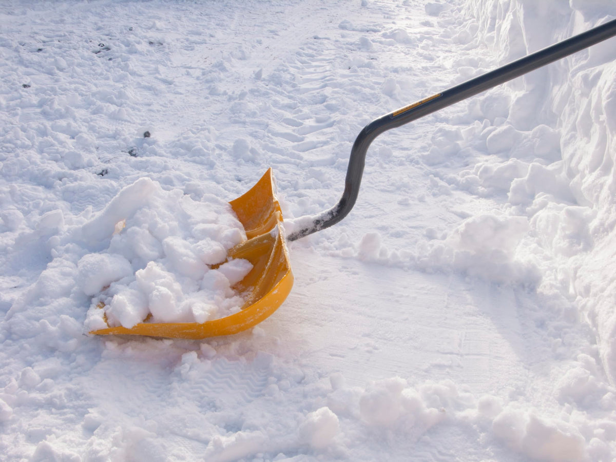 18" Poly Snow Shovel by TRUE TEMPER – One Size, Plastic, Multi, Model 1603072