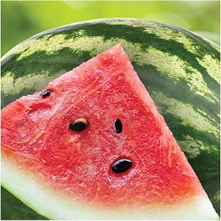 Creative Converting 16 Count Paper Beverage Napkins, Summer Seeds