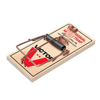 Victor Pest M150 Wood Trap, 2/Pack - Default Title