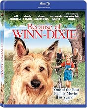 Because of Winn-Dixie